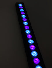 Quanta Lights